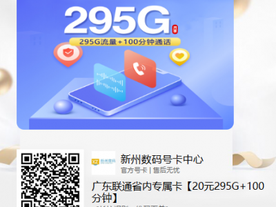 广东联通省内专属卡【20元295G+100分钟】
