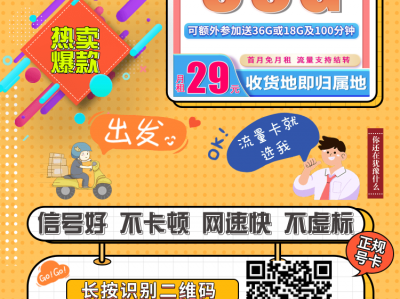 广电手机卡主推-广电真龙卡29元99G【首月免租流量12年有效可结转】