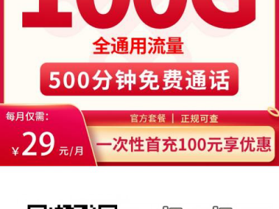 联通大熊卡29元100G+500分钟【送1年会员】