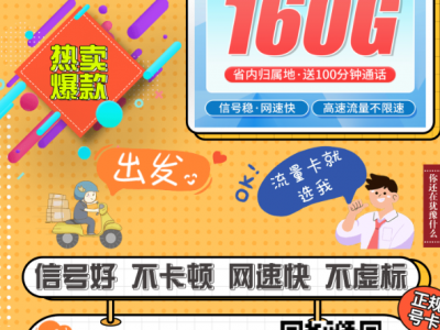 移动灵动卡29元160G+100分钟+浙江专属
