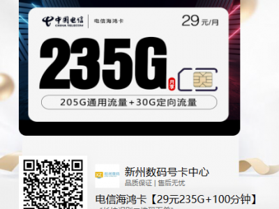 电信海鸿卡29元235G+100分钟【带通话时长的长期29元套餐】