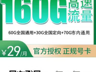 广州移动流量卡推荐： 移动潮乐卡29元160G高速流量+100分钟【只发广州】
