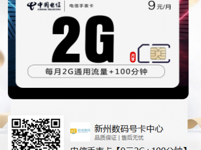 上新·电信手表卡9元2G+100分钟【智能穿戴设备专属流量卡】