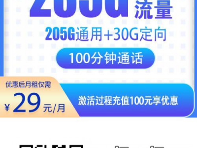电信新风卡29元225G+100分钟【长期套餐】