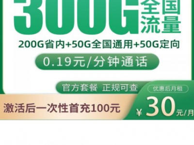 【只发山东长期套餐】移动泰山卡30元300G