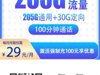 广东电信卡29元235G+100分钟【首月免租广东专享自助激活】