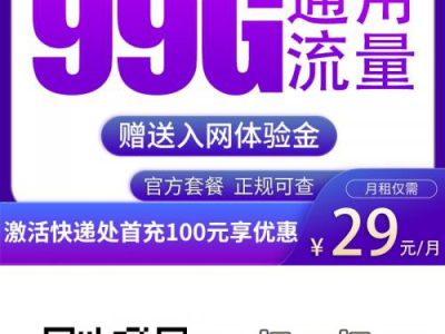 广电卡上新·广电正龙卡29元99G通用流量【流量可结转10年长期套餐】