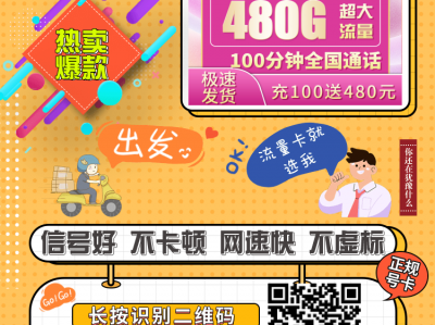 上新·广东神卡·联通粤神卡30元495G+100分钟【超大流量4年30】