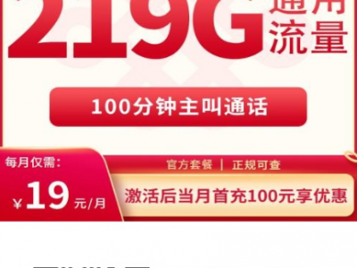 广西联通19元219G流量卡实测体验｜上门激活、返费5个月，这性价比太狠了